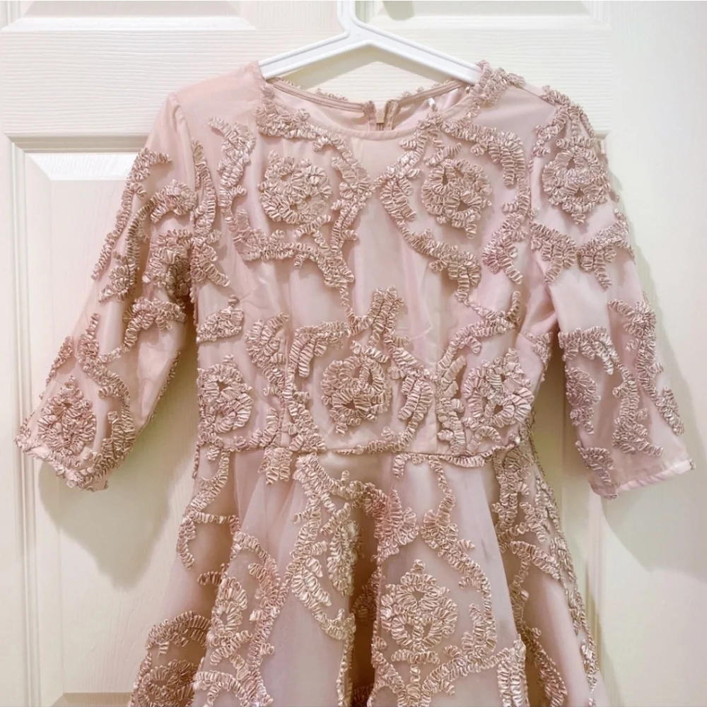 Mesh Dress - Picture 4 of 6